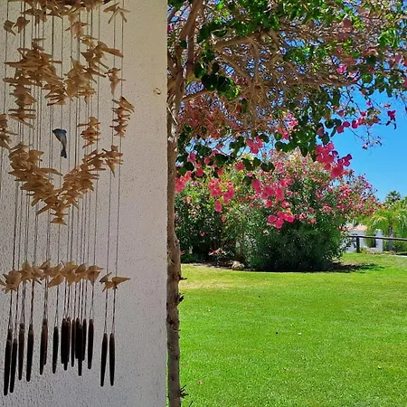 Appartamento Sao Rafael 55 *